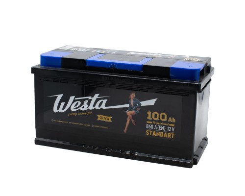 Аккумулятор WESTA BLACK L5 100R